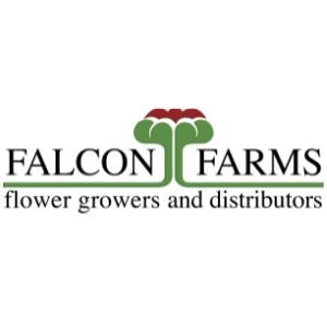 Falcon farms logo Innovus consulting client