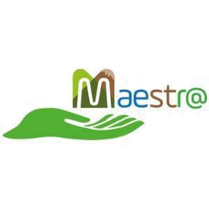 Maestr@ Innovus consulting client