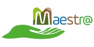 Ser maestro logo